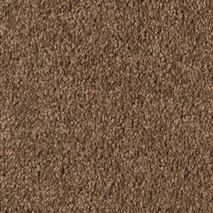Karastan Infinite Touch Kashmere Carpet Timeless 9876