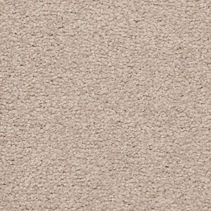 Karastan Somerset Bay Kashmere Carpet Villa 9803