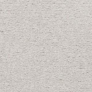 Karastan Somerset Bay Kashmere Carpet Shiny Lustre 9902