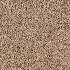 Karastan Luxurious Beauty SmartStrand Silk Carpet Whole Grain 9768