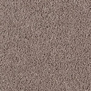 Karastan Luxurious Beauty SmartStrand Silk Carpet Swiss Coffee 9779