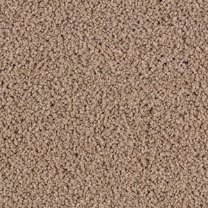 Karastan Luxurious Beauty SmartStrand Silk Carpet Sandalwood 9832