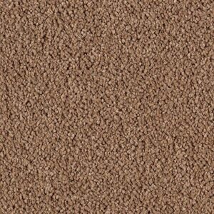 Karastan Luxurious Beauty SmartStrand Silk Carpet Nutmeg 9851