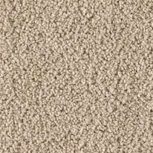 Karastan Soft Elequence SmartStrand Silk Sometimes 9740