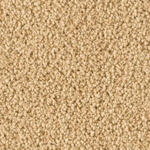 Karastan Soft Elequence SmartStrand Silk Silent Hills 9761