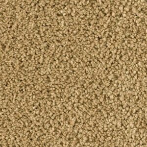 Karastan Soft Elequence SmartStrand Silk Vapor Trail 9771