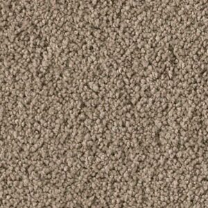 Karastan Soft Elequence SmartStrand SilkT eak 9820