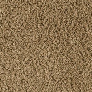 Karastan Soft Elequence SmartStrand Silk Peyote 9832