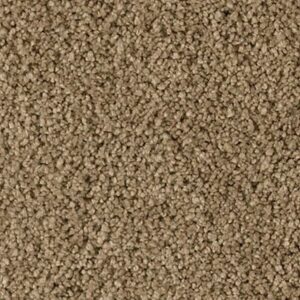 Karastan Soft Elequence SmartStrand Silk Tinderbox 9834