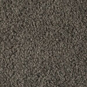Karastan Soft Elequence SmartStrand Silk Raven 9971