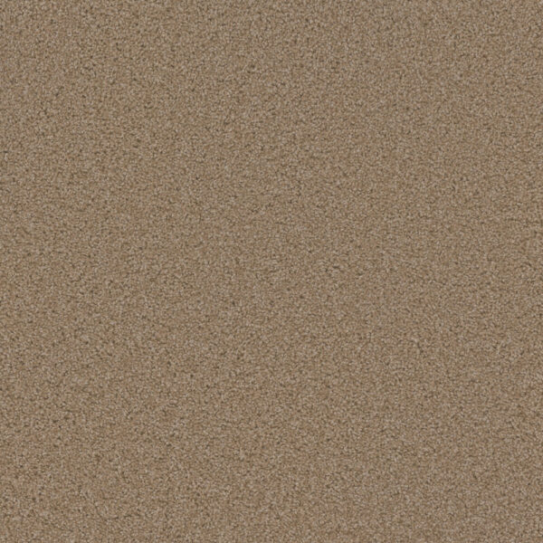 Dreamweaver Carpet Sp250 Sawgrass Carpet SP250_701