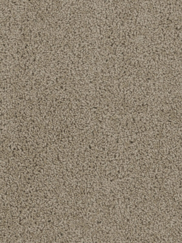 Dreamweaver Carpet Sp250 Sandstone Carpet SP250_715
