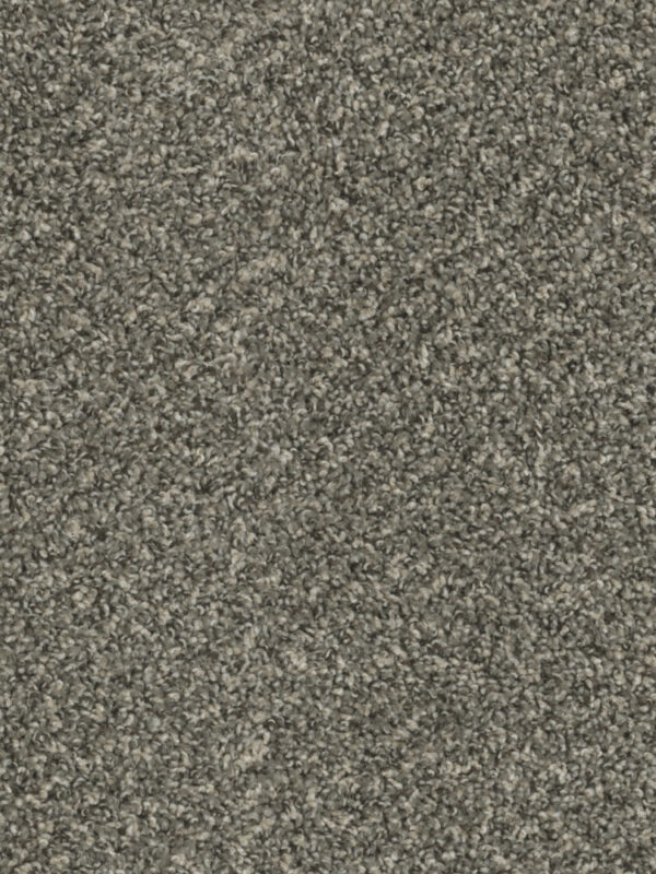 Dreamweaver Carpet Sp250 Ironside Carpet SP250_783