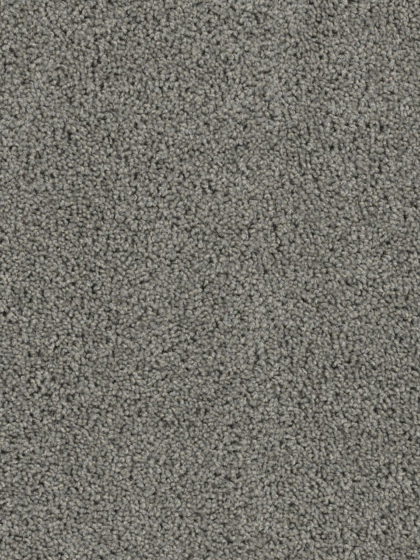 Dreamweaver Carpet Sp250 Bayside Carpet SP250_956