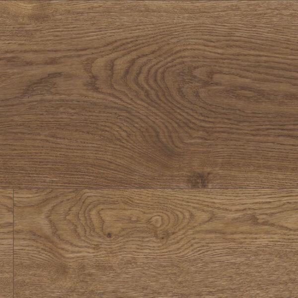 COREtec Plus Enhanced XL Arvon Oak 9"