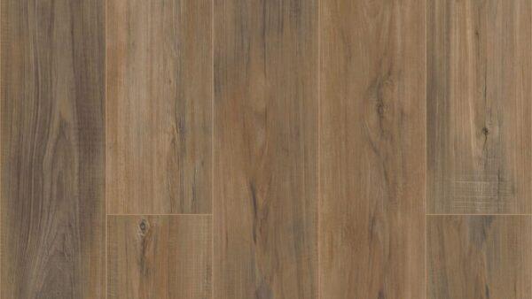 COREtec Pro Plus Enhanced Edinburgh Oak 7"