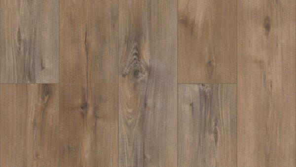 COREtec Pro Plus Enhanced Portchester Oak 7"
