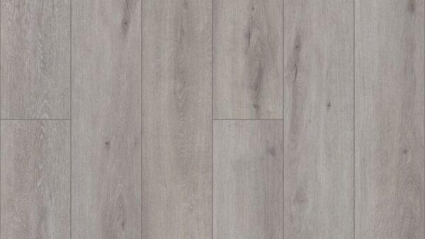 COREtec Pro Plus Enhanced Conway Oak 7"