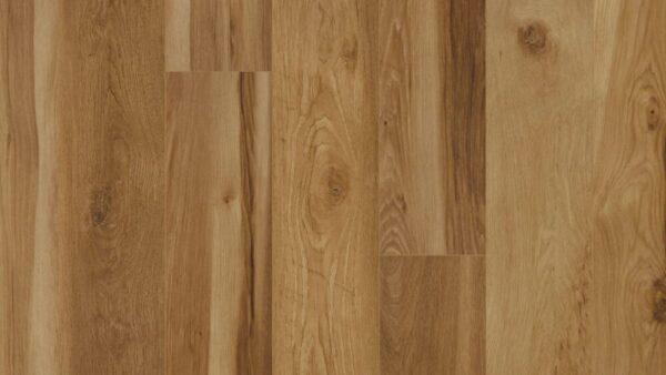 COREtec CT HD Integrated Bevel Blended Caraway 7"