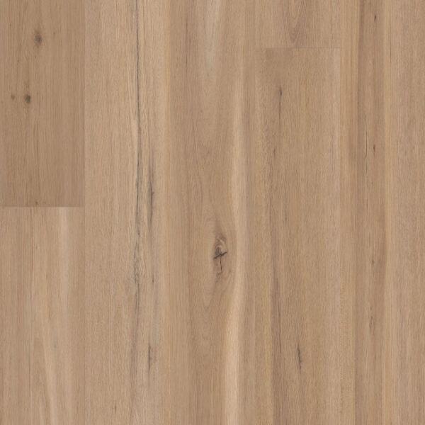 COREtec CT Premium Blonde Oak 9"