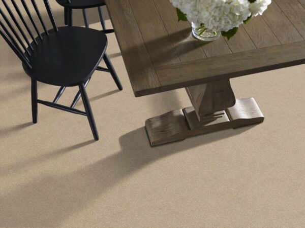 TUFTEX  FREE FORM OAK RIDGE ZZ001-00114 Room Scene