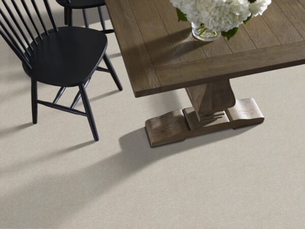 TUFTEX  FREE FORM GENTLE GRAY ZZ001-00541 Room Scene