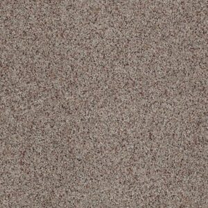 TUFTEX TUFTEX CLASSICS WEST PLACE II STONEY GROUND ZZ005-0132B