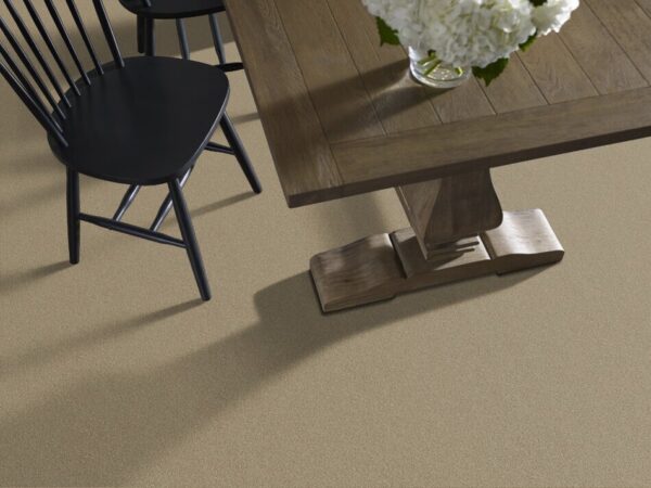TUFTEX PET PERFECT ON POINT SUEDE ZZ012-00714 Room Scene