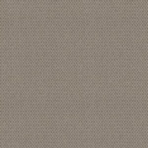 TUFTEX  MOONDANCE SILVER TAUPE ZZ035-00753