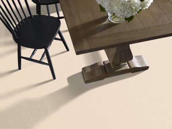 TUFTEX  PERFECT CHOICE WINDSWEPT ZZ064-00222 Room Scene