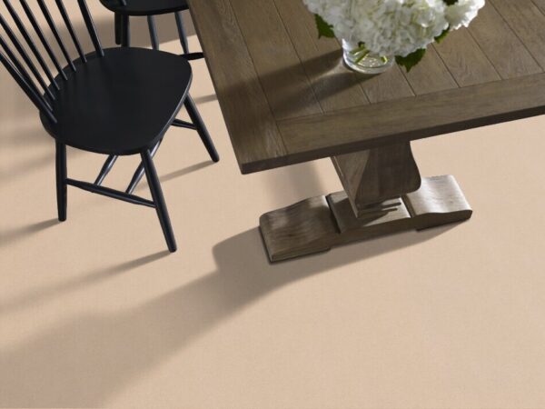 TUFTEX  PERFECT CHOICE COCOA SAND ZZ064-00773 Room Scene