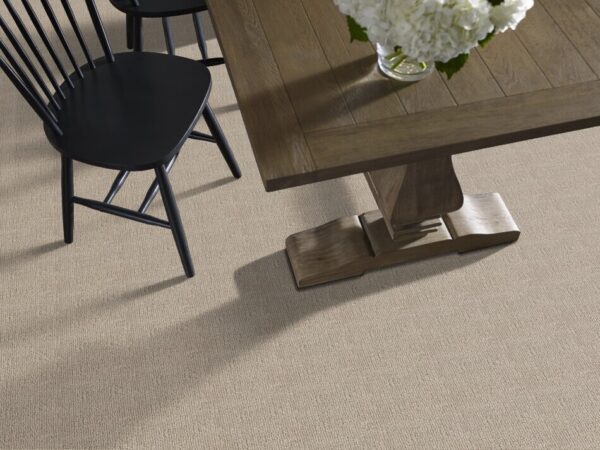 TUFTEX  DIEGO ADOBE BEIGE ZZ223-00754 Room Scene