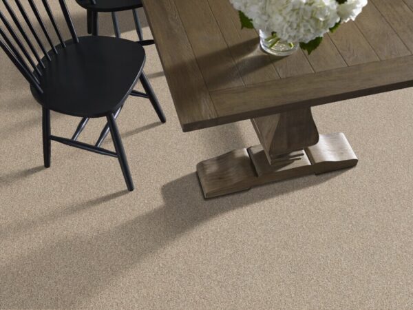 TUFTEX  TRAVERTINO TOO CLAY BEIGE ZZ241-113 Room Scene