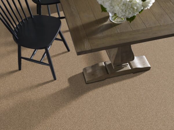 TUFTEX  TRAVERTINO TOO PEANUT SHELL ZZ241-124 Room Scene