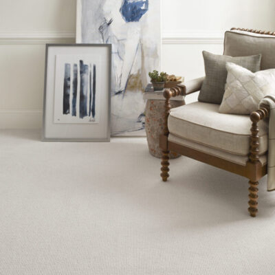 Anderson Tuftex Carpet Nylon