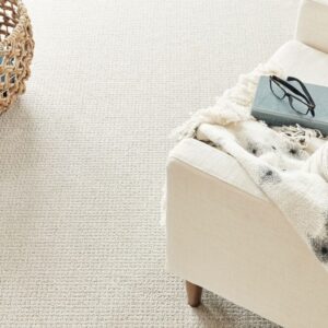 Mohawk Carpet Natural Splender
