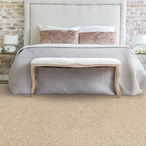 Mohawk Carpet Design inspriration
