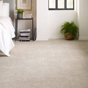 Dream Weaver Carpet Exceptional II