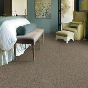 Shaw Carpet Obvious Choice